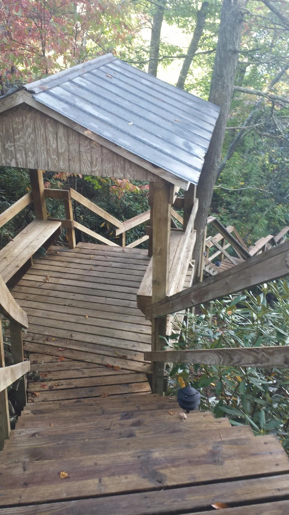 Metal roofed shelter over wooden steps on a wooded walkway — Skylight Repair & Installation work by our crew in Bovill