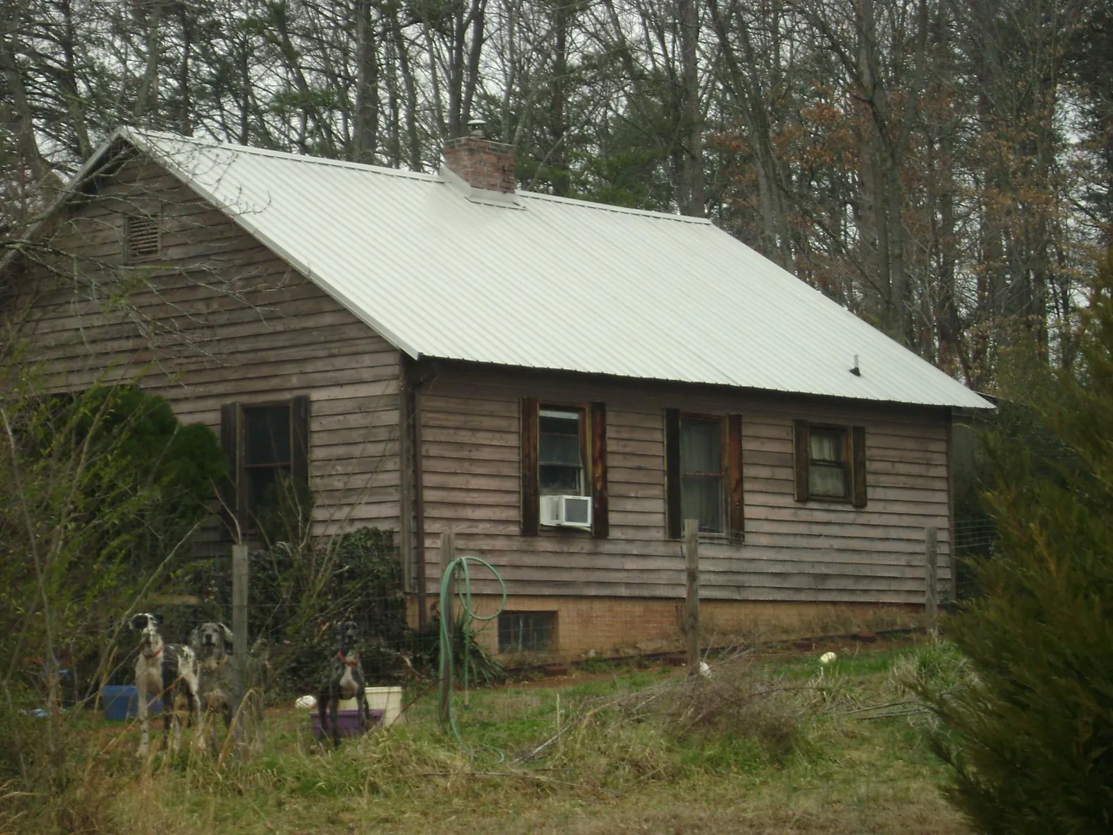 White metal roof on an old wood sided farmhouse, from a Asphalt Shingle Roof Repair job in Bovill